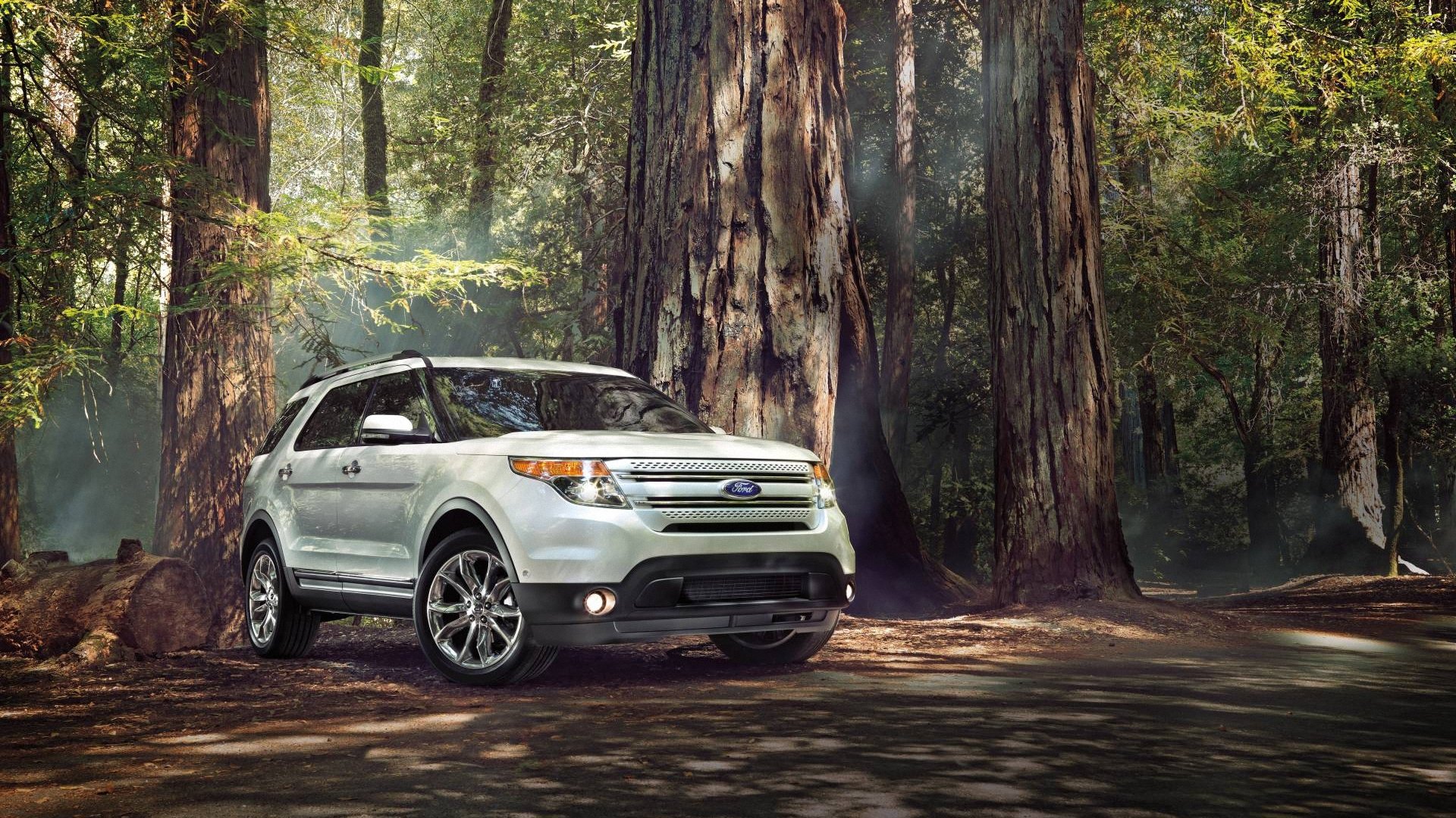 ford explorer sport forest suv