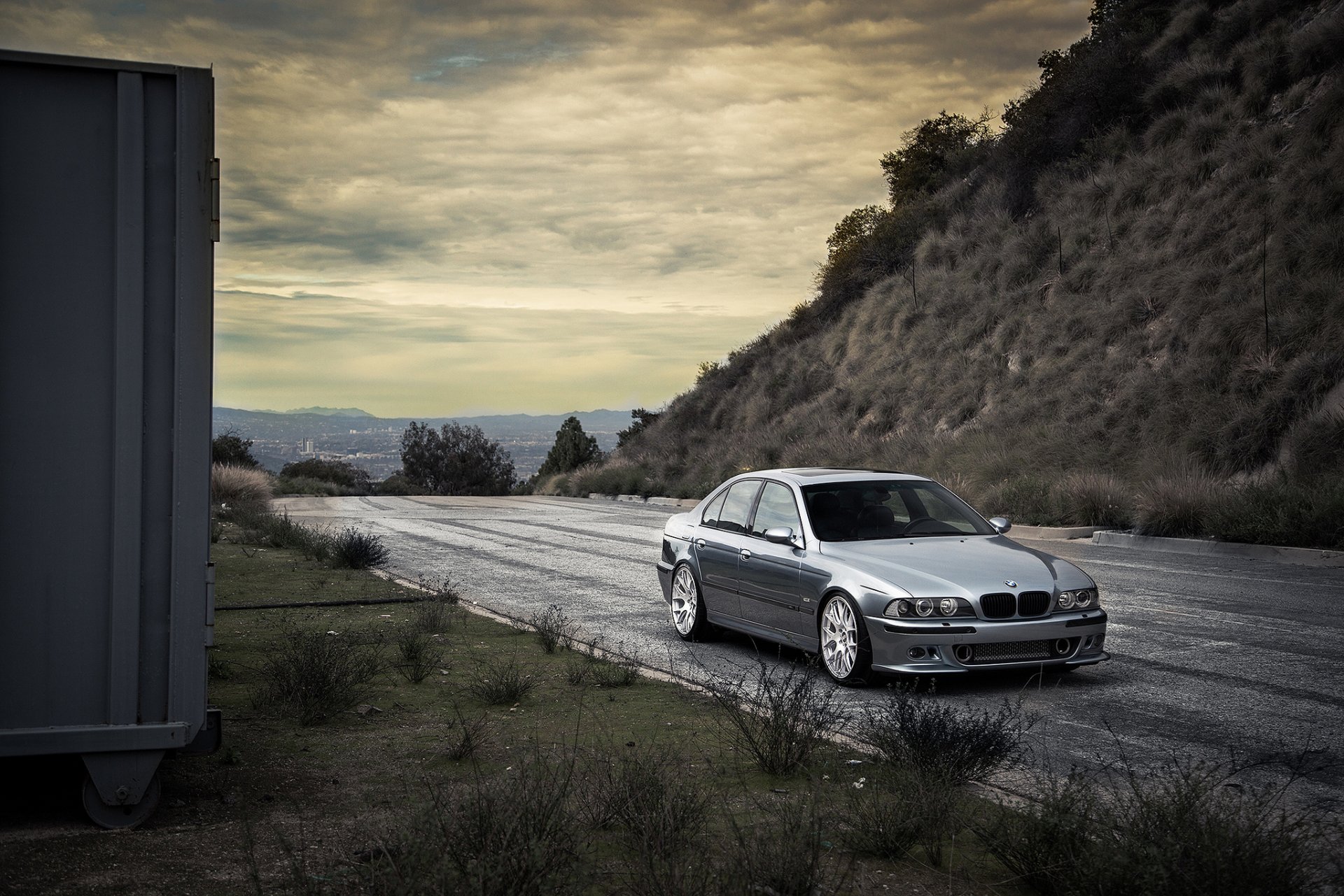 bmw m5 e39 azul bmw cian vista frontal loro carretera pendiente hierba