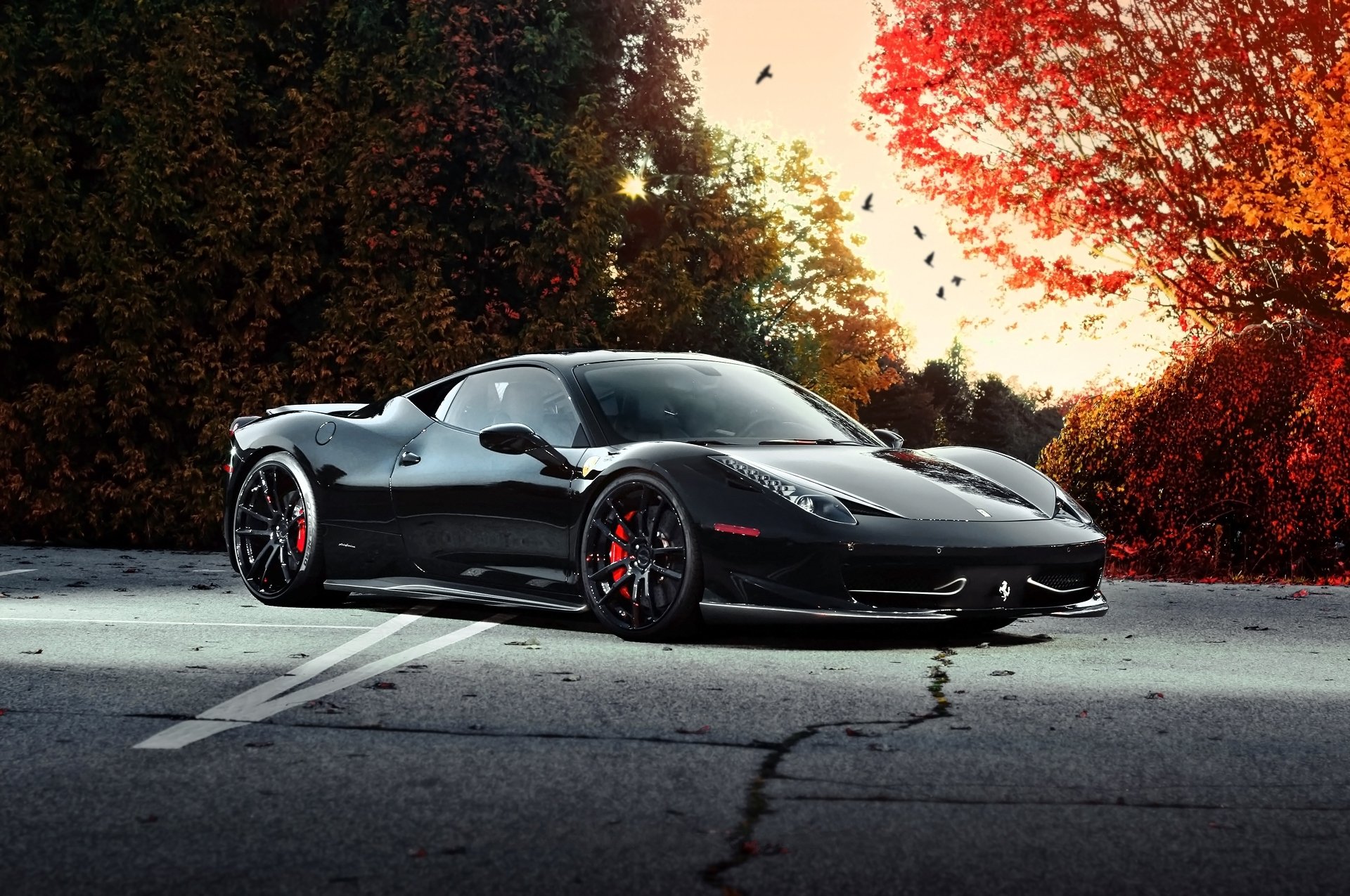 ferrari 458 italia nero autunno alberi cielo uccelli ferrari italia