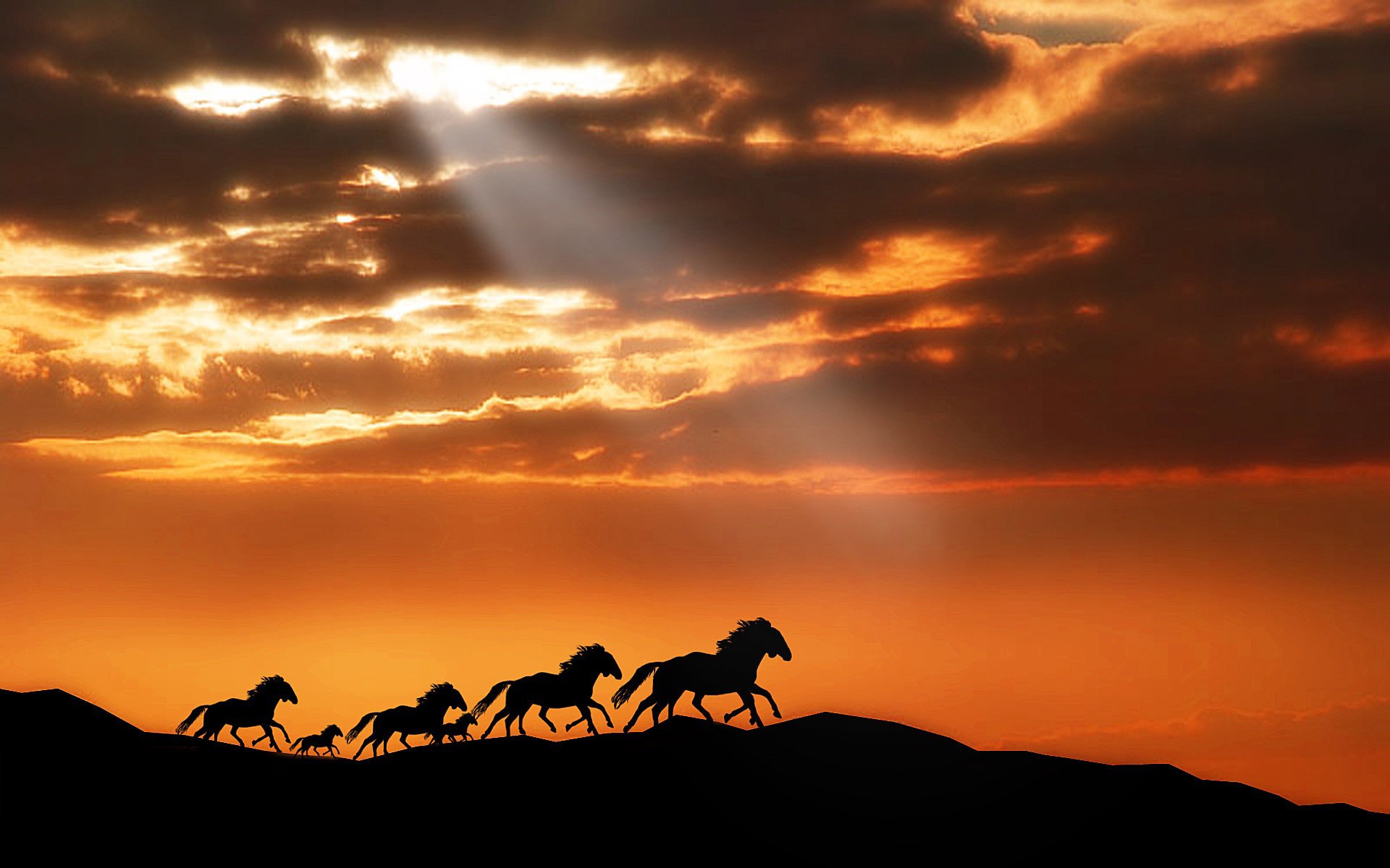 animali cavallo cavallo cielo montagne cavallo tramonto cavalli