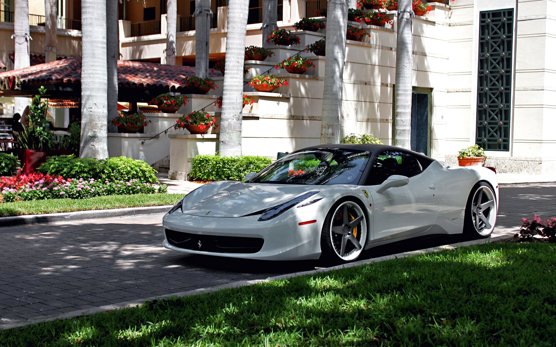 ferrari italia bianco messa a punto ruote cortile erba villa