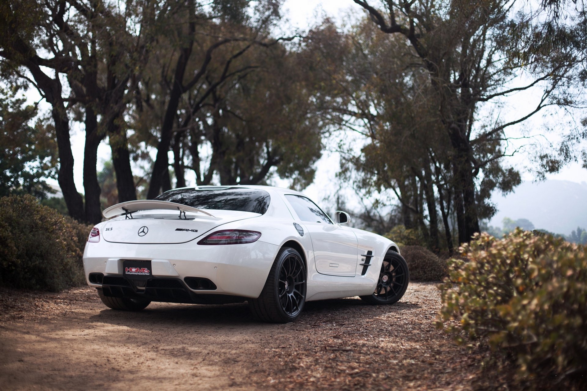 mercedes benz sls amg white mercedes benz sls amg rear view wing trees sky