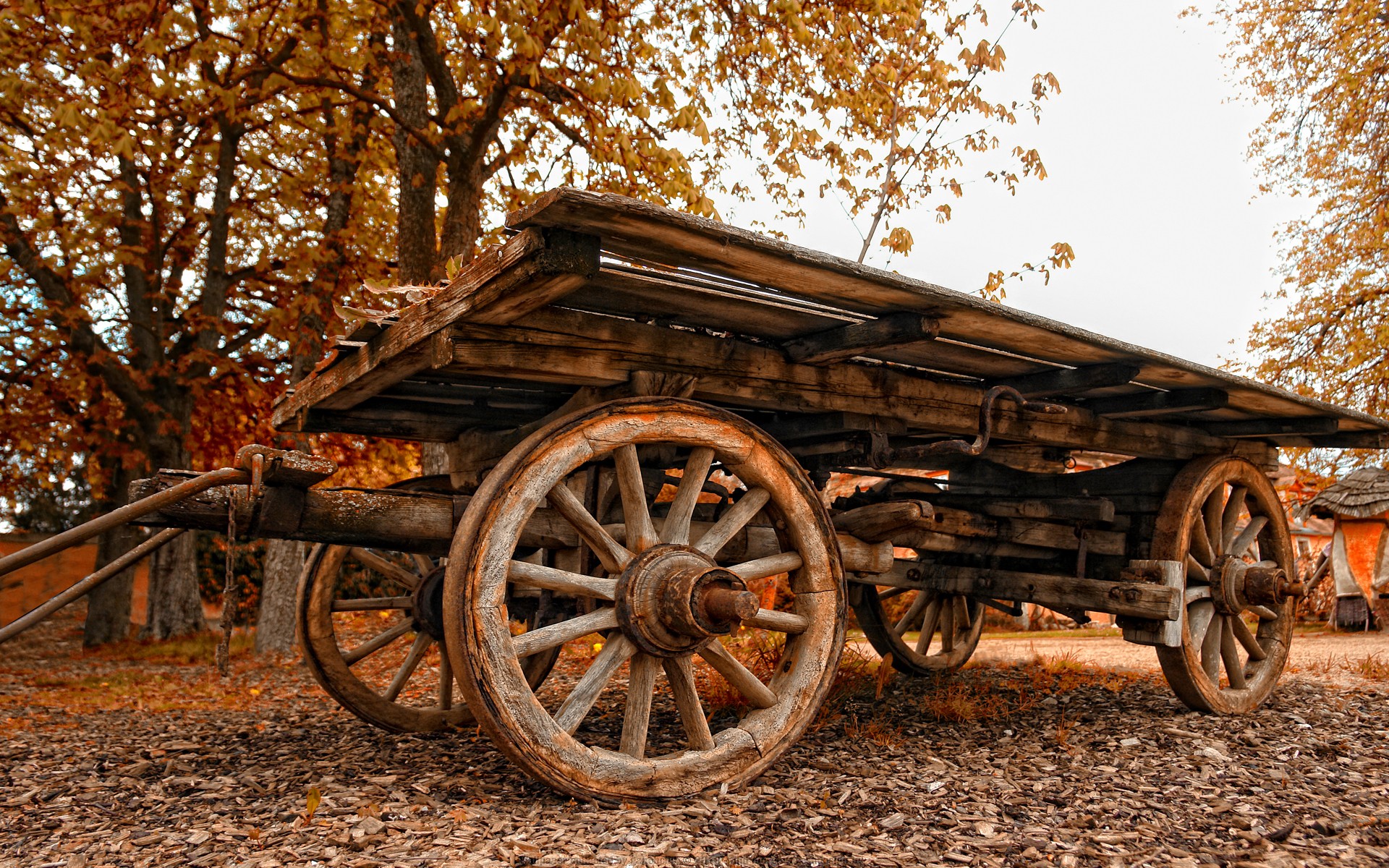 carro viejo otoño