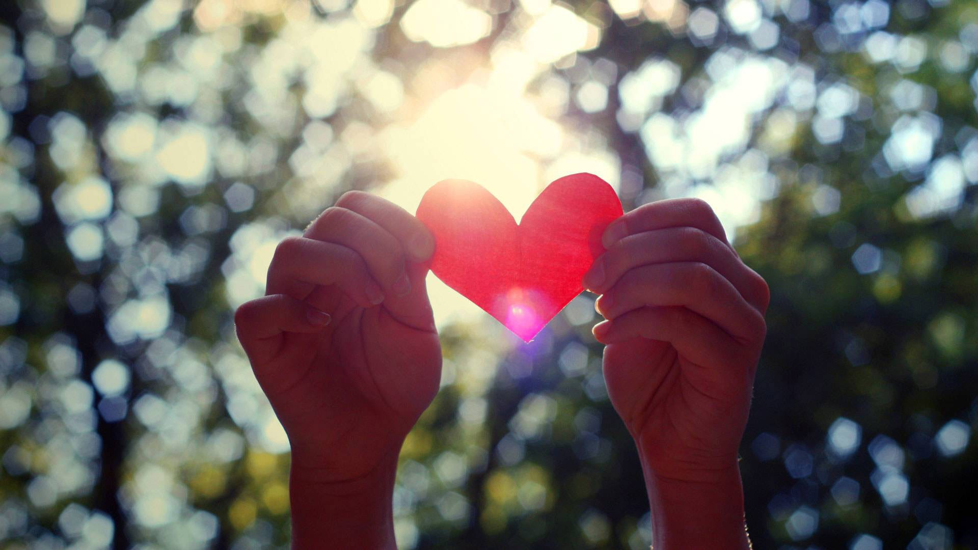 día de san valentín manos corazón san valentín