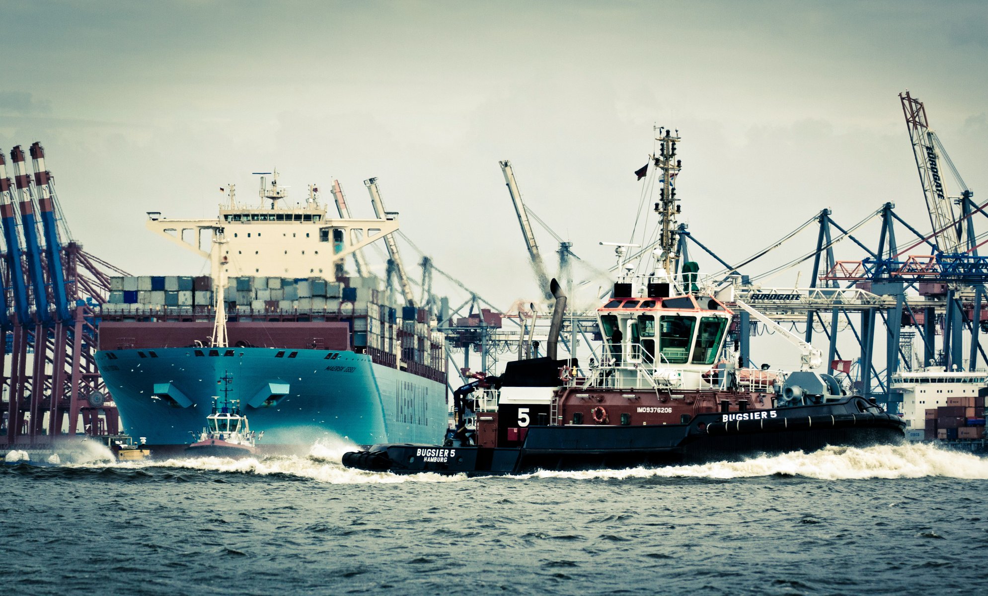 maersk line maersk essex maersk porte-conteneurs navire réservoir remorqueur mouettes mer déchets coque conseil oiseaux eau allemagne port hambourg grues