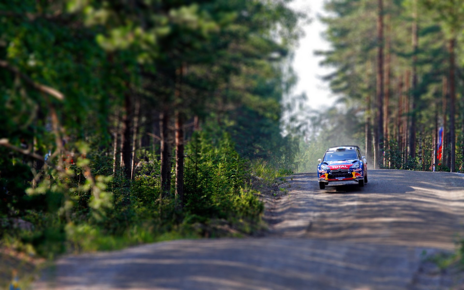 citroen ds3 rally wrc tilt-cizalla bosque carrera vuela velocidad árboles