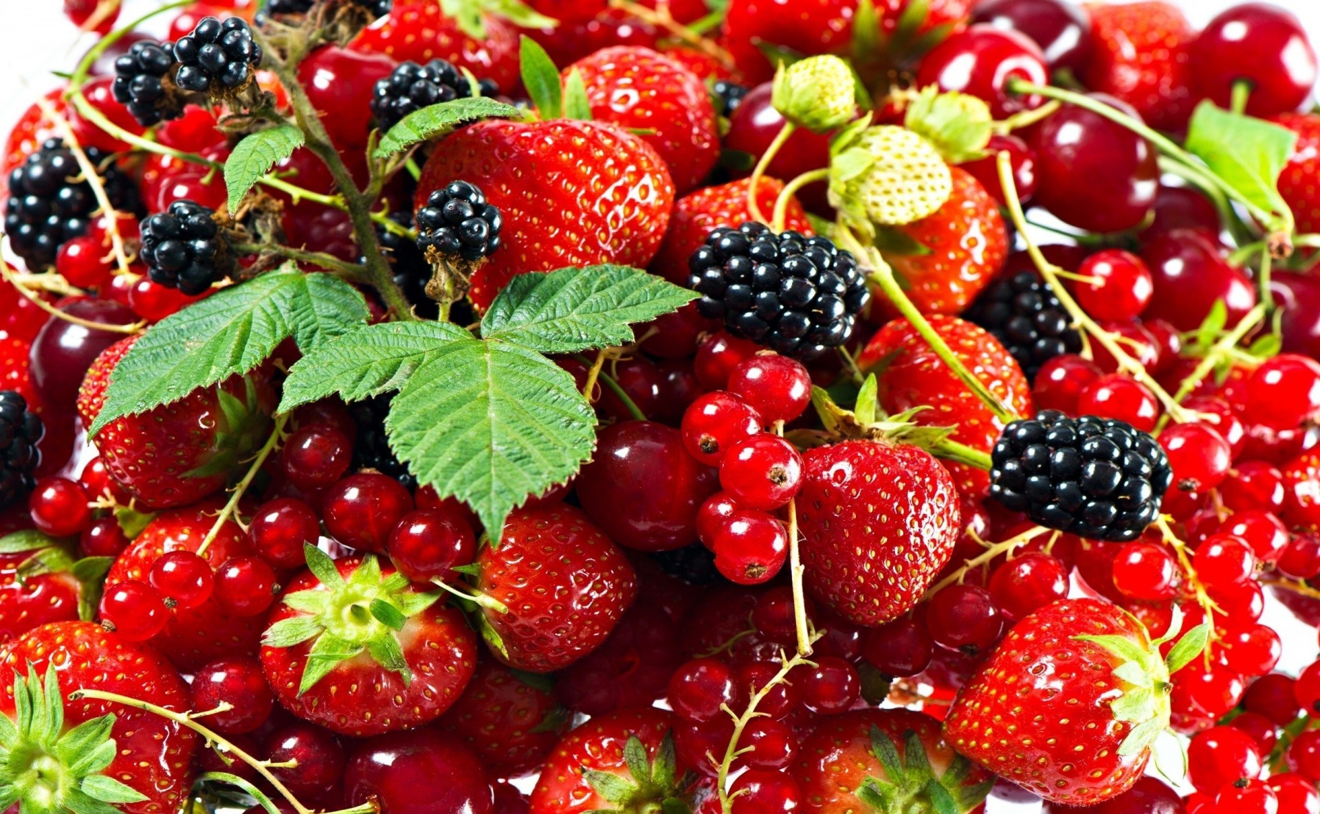 bayas fresas grosellas rojas moras vitaminas