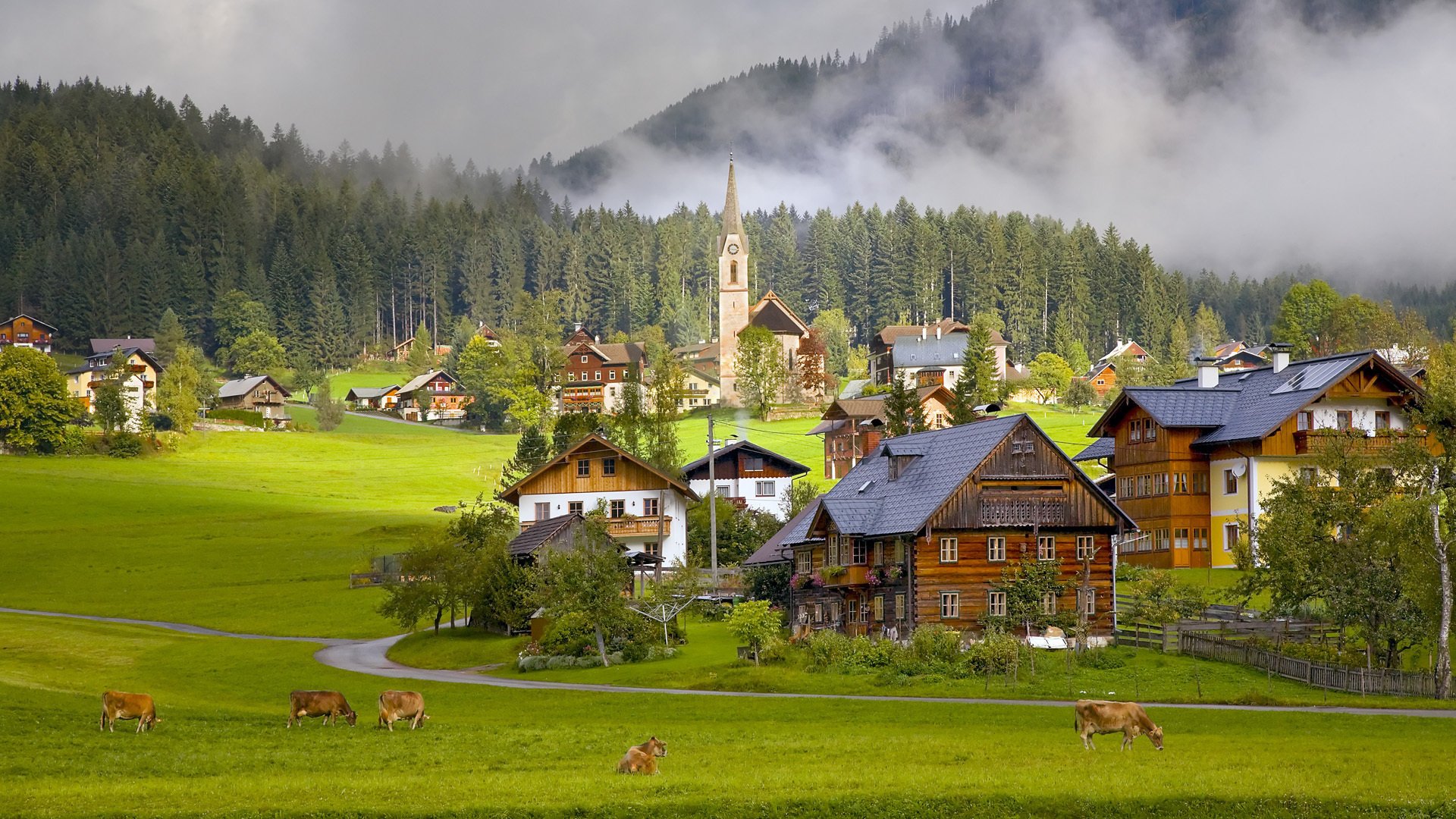 gosau village austria houses cows village austria