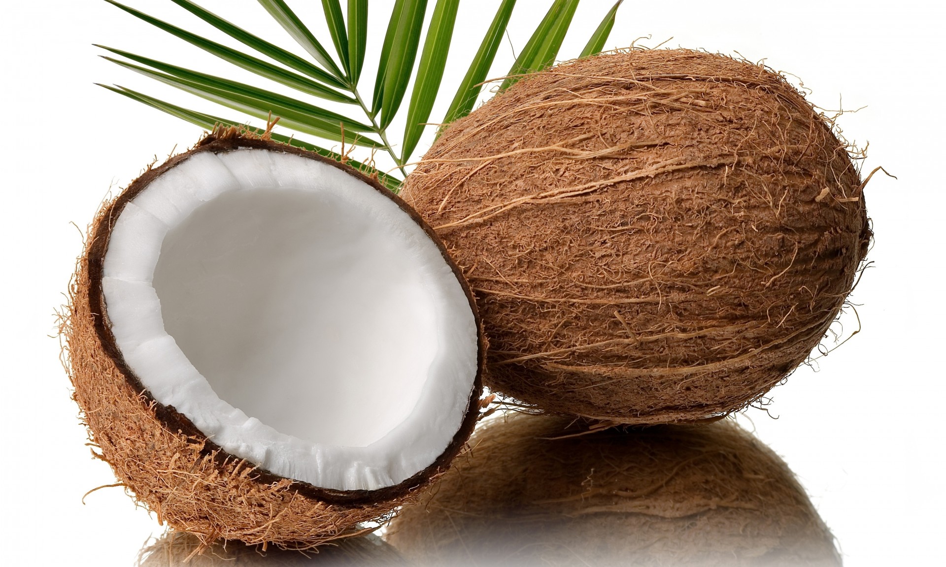 heet coconut half