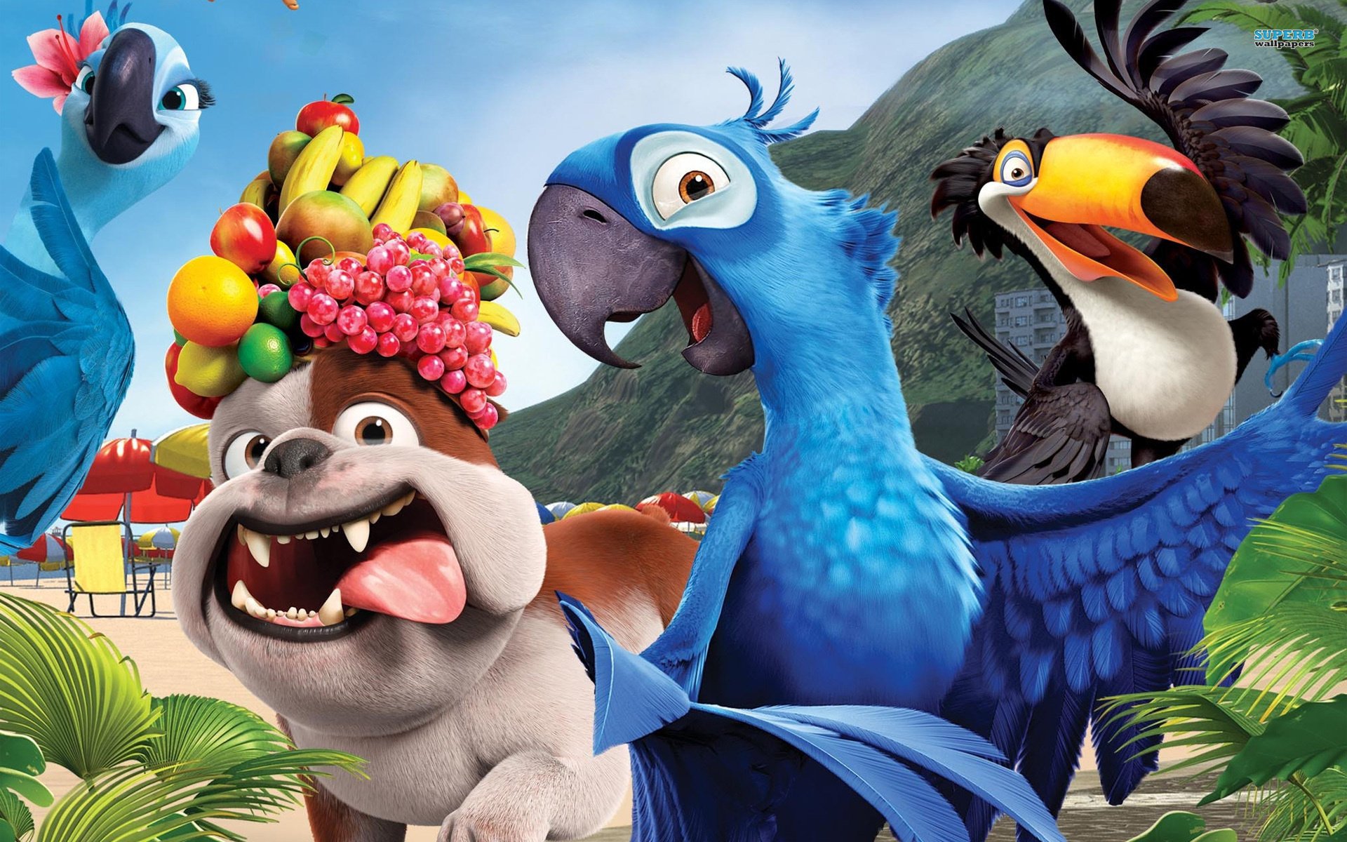 cartoon dog parrots fruit rio rio