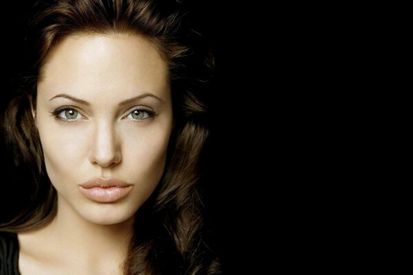 Angelina Jolie sabe algo sobre TI