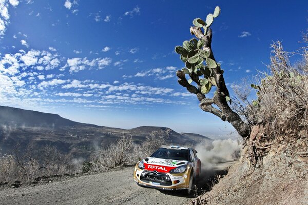 Rally sportivo in montagna a velocità