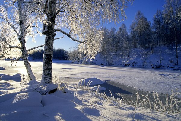 Winter landscape: sunny day, tree in snow, icy river