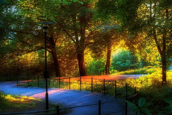 Belle nature dans un parc très inhabituel