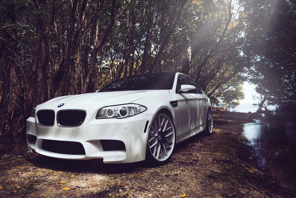 A white BMW on a forest road. Disks