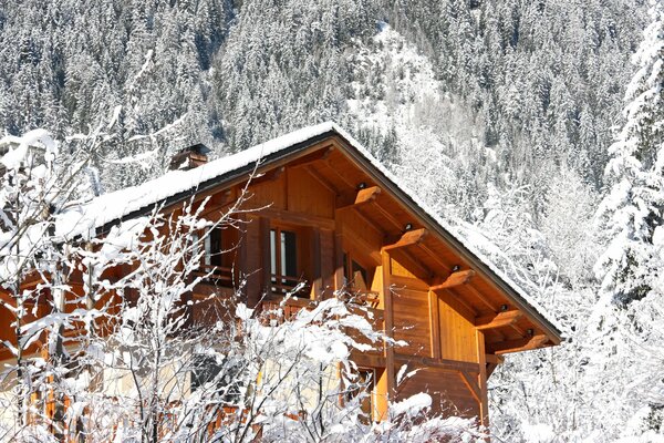 Maison confortable dans la forêt enneigée