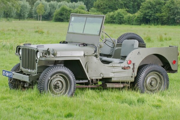 Off-road vehicle in a green forest field