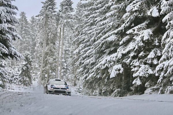 Volkswagen Polo sullo sfondo di una foresta innevata