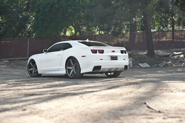 A white Chevrolet car in the park near a tree