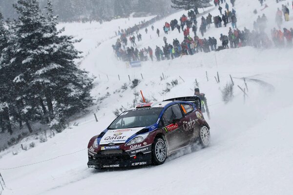 Ford car on the background of fir trees and snow