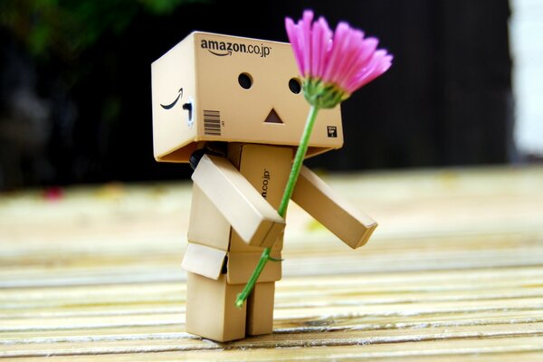 Danbo dà un fiore come regalo