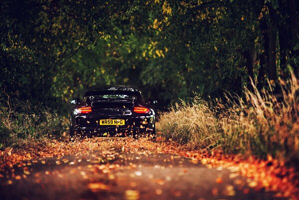 Porsche en el camino en las hojas en otoño