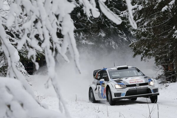 Rally Volkswagen Polo en el bosque cubierto de nieve