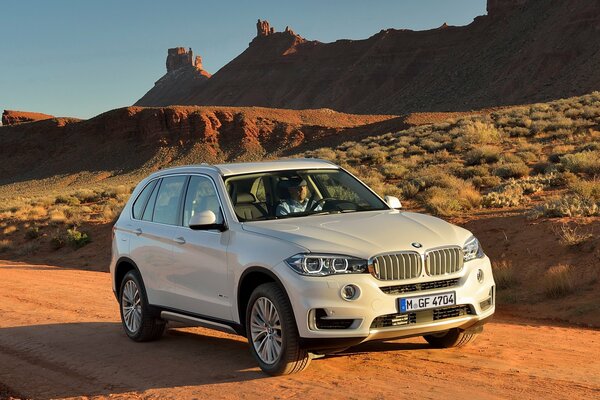 Imagen de un coche blanco bmw X5 xdrive30d en las montañas