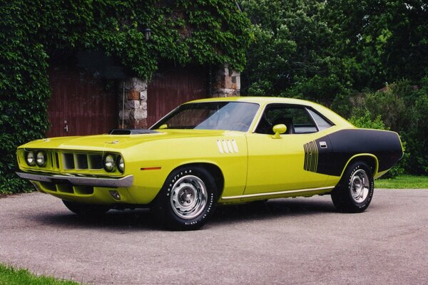 Plymouth jaune à la porte avec des buissons