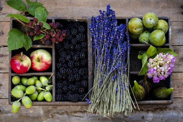 Bayas, frutas y flores en una Caja de madera