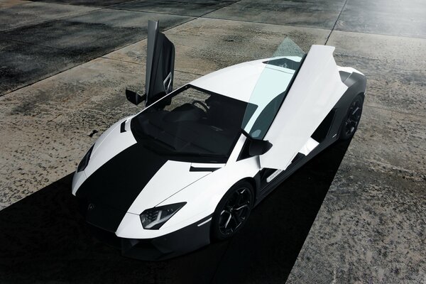 A picture of a black and white lamborghini aventador car with open doors