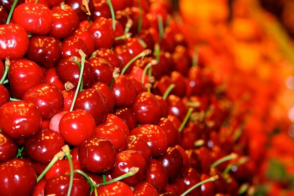 Glänzende Kirschbeere auf orangefarbenem Hintergrund aus anderen Beeren