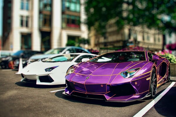 A purple lamborghini aventador car next to a white one