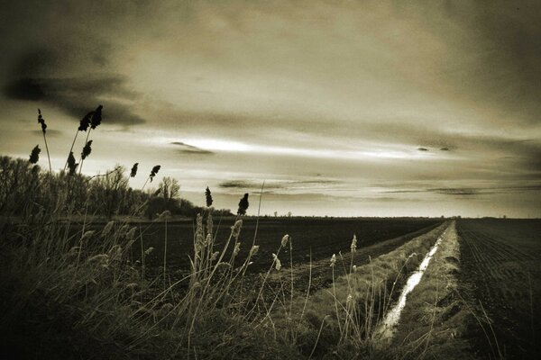 The road through the field in dark colors