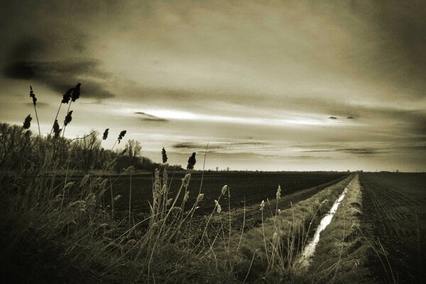 Дорога через поле в темных тонах