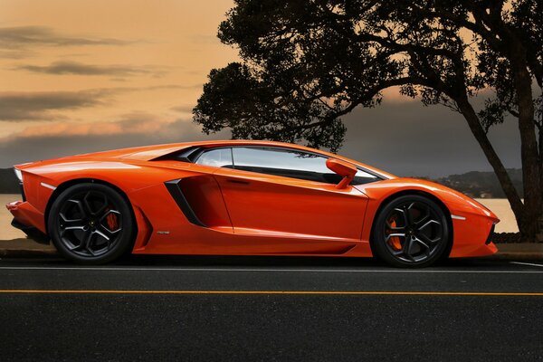 Imagen de Lamborghini aventador lp700-4 naranja en la carretera