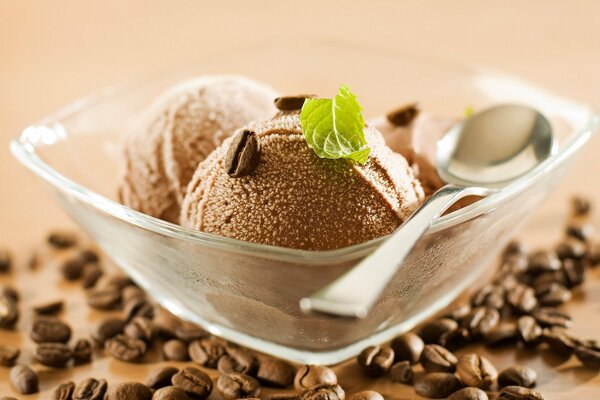 Chocolate ice cream sprinkled with coffee and garnished with mint