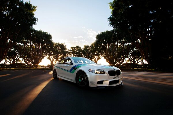 Weißer Bmw auf Baumhintergrund