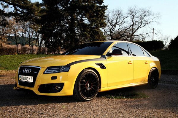 Tuned yellow audi in nature