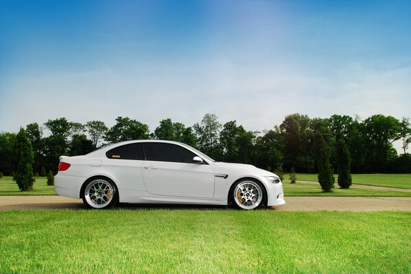 Profile of a white BMW on the road among a green meadow with trees in the background