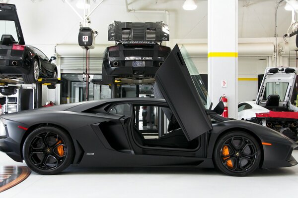 Sporty lamborghini in black with the doors open up