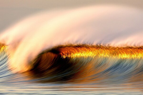 Strong wave during sunset