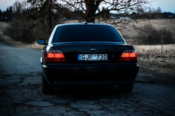 Bmw 740 am einsamen Baum Herbstlandschaft