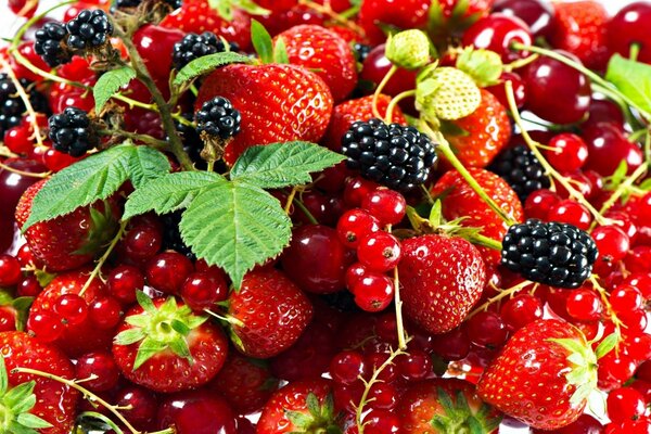 Eine Mischung aus frischen und leckeren Beeren