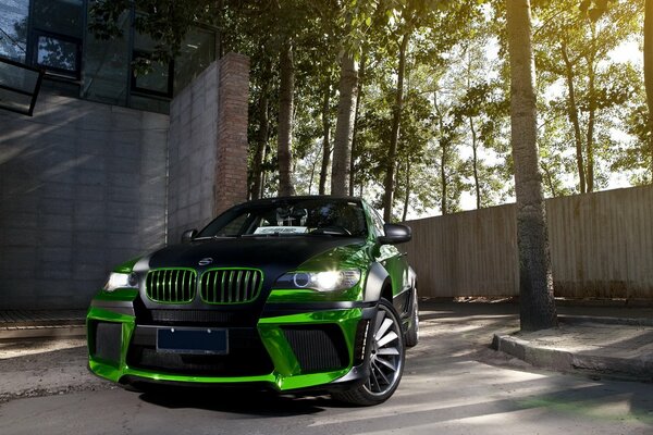 Auto BMW schwarz und grün auf einem Hintergrund von Bäumen