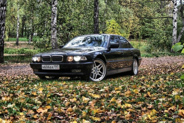 Bmw 7 E38 nera sullo sfondo della foresta autunnale