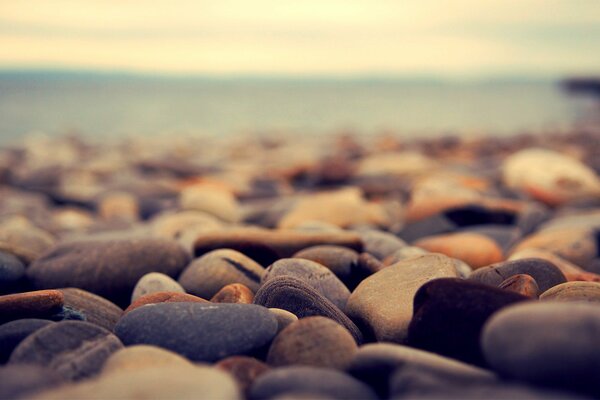 Sea pebbles taken in close-up