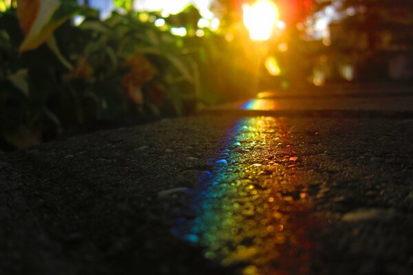 El arco iris en el asfalto es el reflejo de la luz