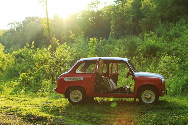 Retro-Auto-Zaporozhets auf dem Hintergrund des grünen Waldes