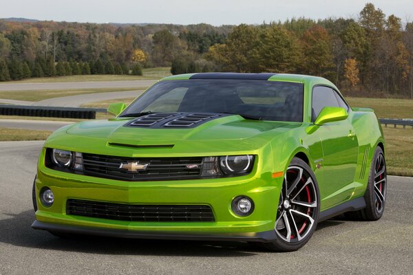 Green Chevrolet on the background of nature